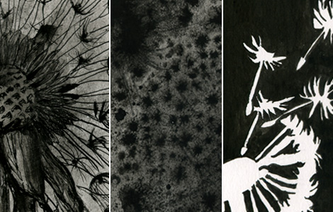 Dandelions in Ink